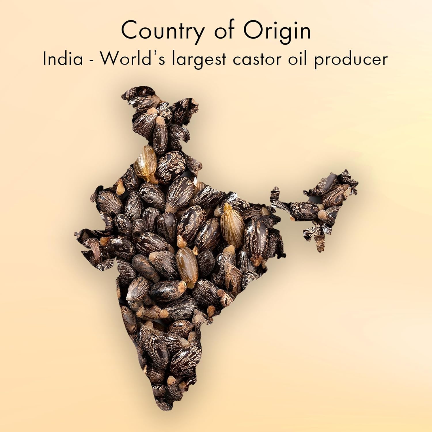 Majestic Pure USDA Organic Castor Oil - 100% Pure & Natural - Premium Grade, Cold Pressed, Hexane Free - Hair, Eyelashes, Eyebrows, Nails - Moisturizing & Nourishing - 8 Fl Oz - Image 3